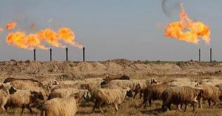 Iran troops have made partial withdrawal: Iraq